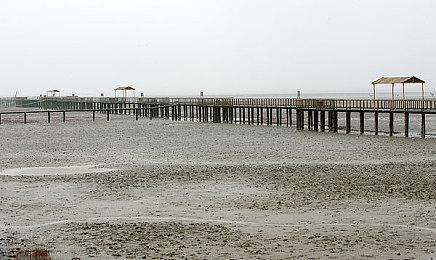 消息称动视暴雪旗下工作室曾开发大金刚新作